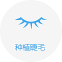 睫毛種植