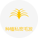 種植私密毛發(fā)