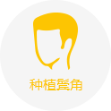 鬢角種植